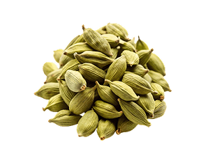White Cardamom